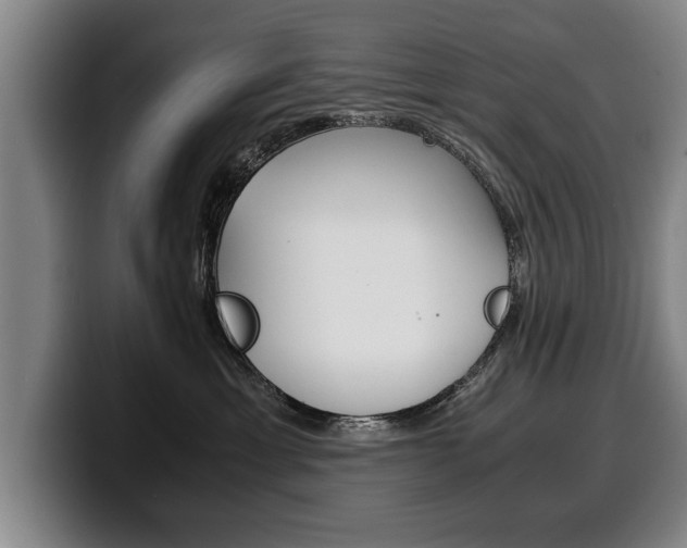 X0000100310429200806051333