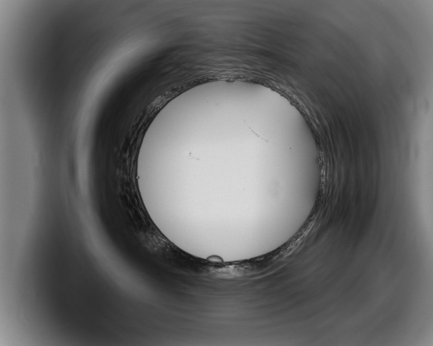 X0000100310430200806051333