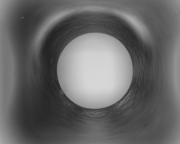 X0000100310431200806051333
