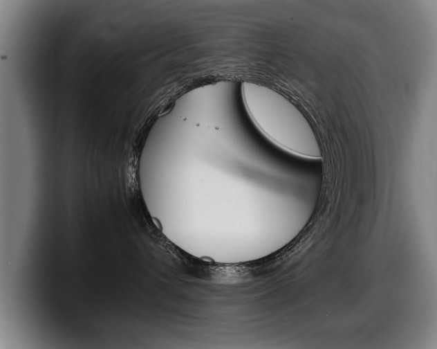 X0000100310432200806051332