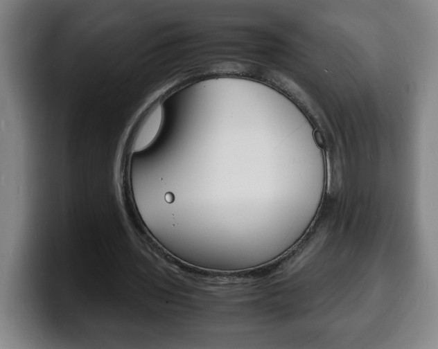X0000100310435200806051332