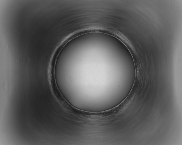 X0000100310436200806051332