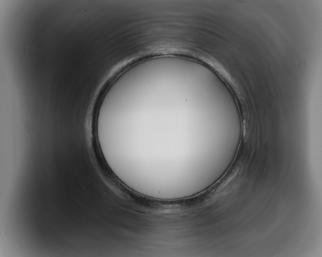 X0000100310438200806051332