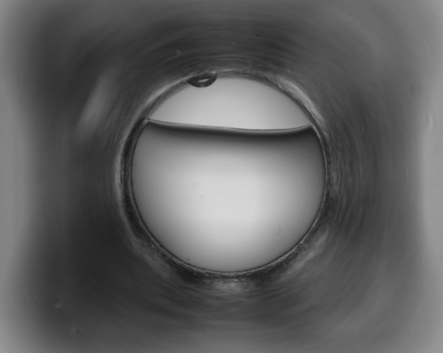 X0000100310439200806051332
