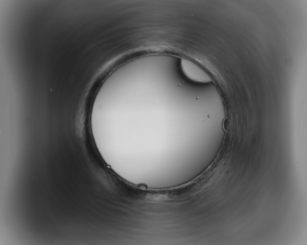 X0000100310440200806051332
