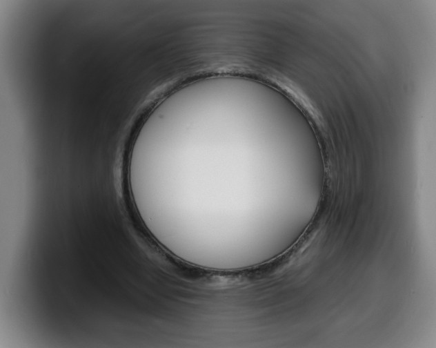 X0000100310442200806051332