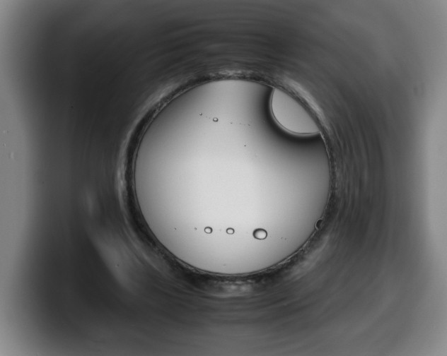 X0000100310443200806051332