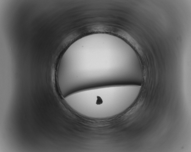 X0000100310445200806051332