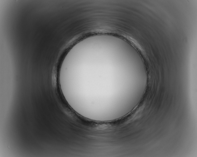 X0000100310446200806051332