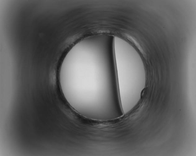 X0000100310447200806051332