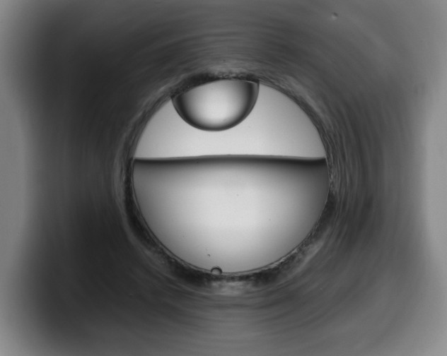 X0000100310448200806051332