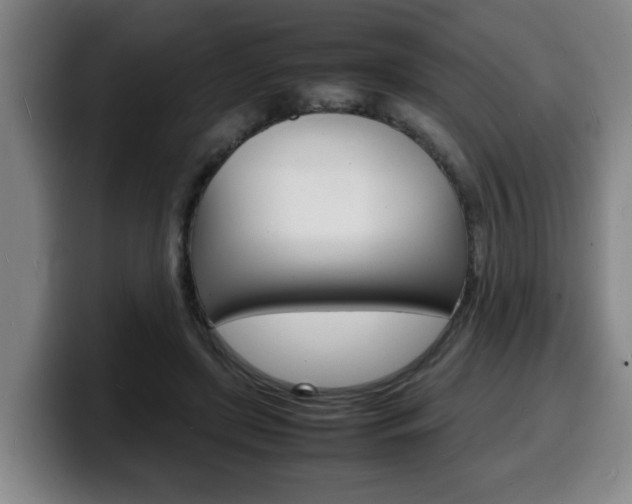 X0000100310451200806051332