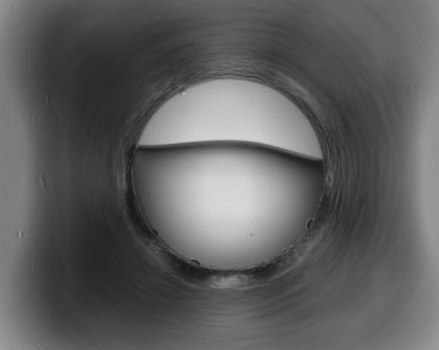 X0000100310452200806051332