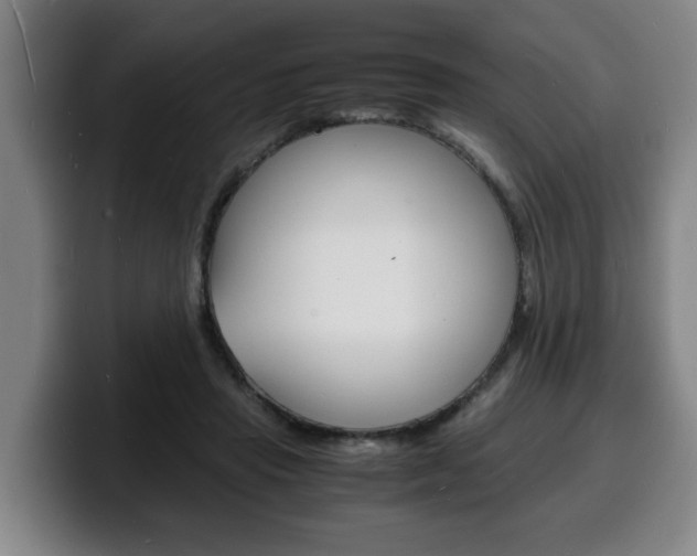 X0000100310453200806051332