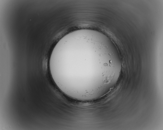 X0000100310454200806051332