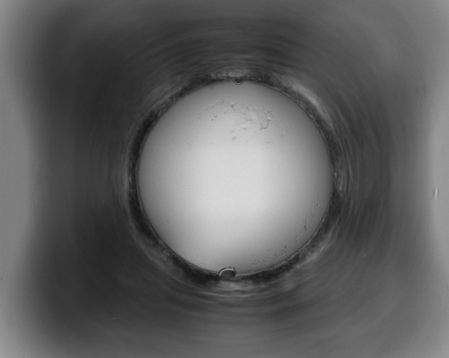 X0000100310455200806051332