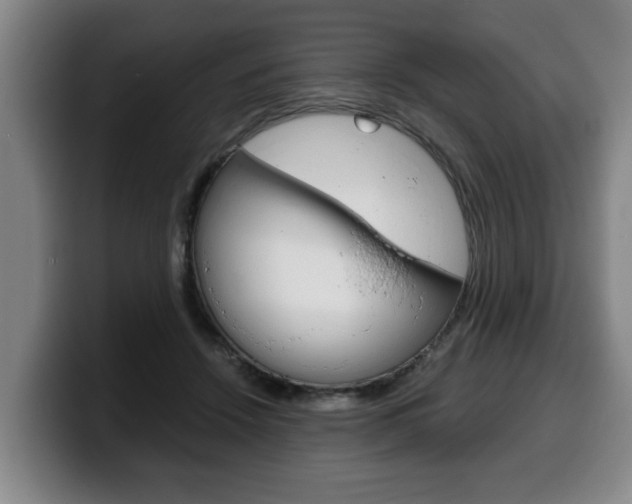 X0000100310456200806051332