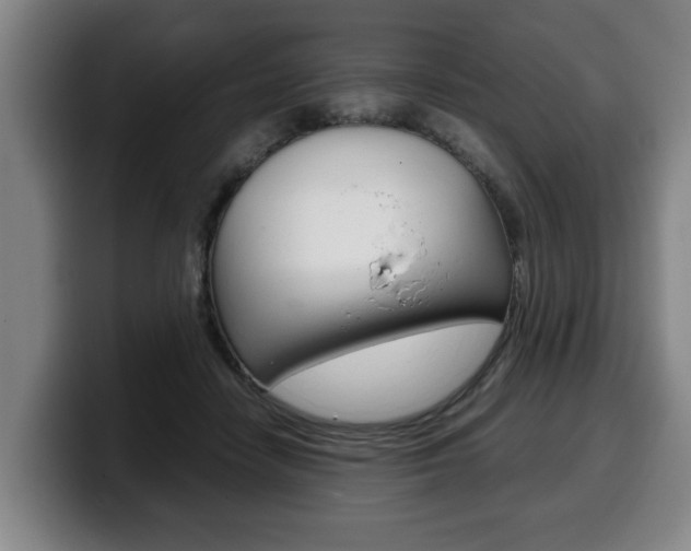 X0000100310458200806051332