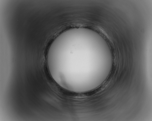 X0000100310459200806051332