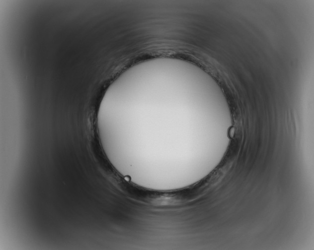 X0000100310460200806051332