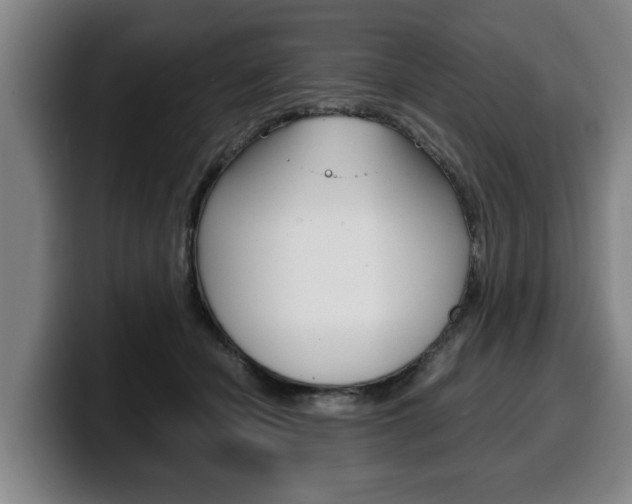 X0000100310462200806051332