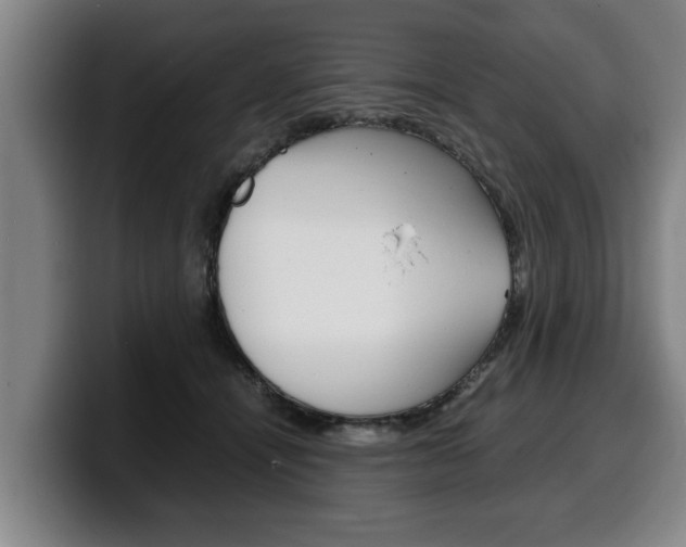 X0000100310464200806051332