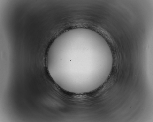X0000100310465200806051332
