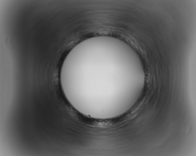 X0000100310466200806051332