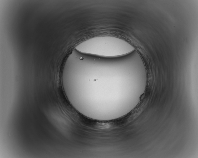 X0000100310469200806051332