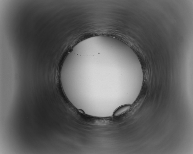 X0000100310470200806051332