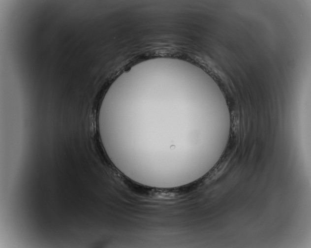 X0000100310471200806051332