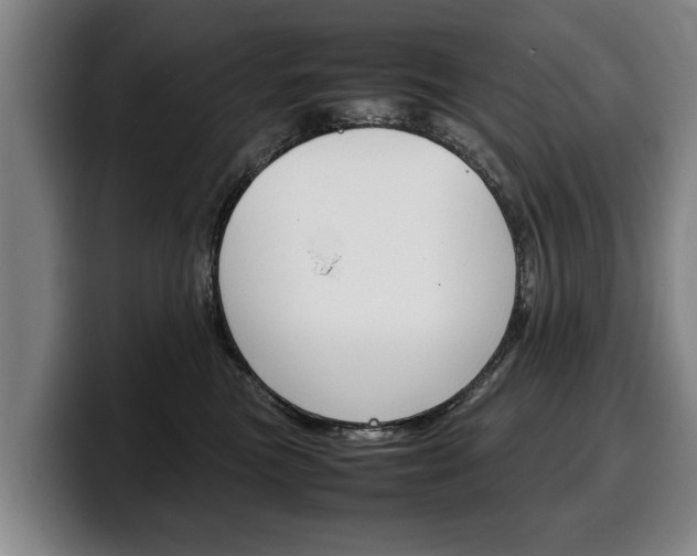 X0000100310473200806051332