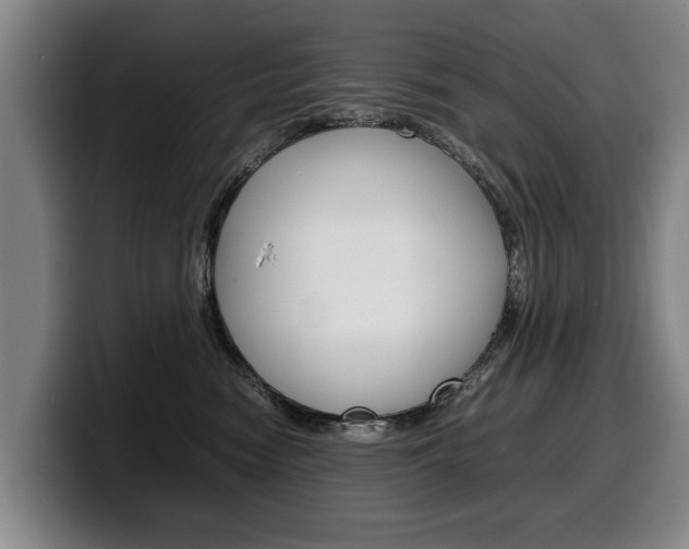 X0000100310474200806051332