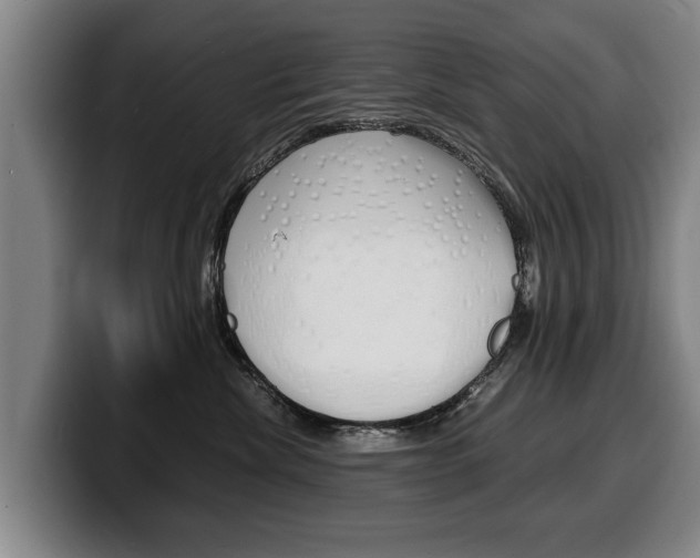 X0000100310476200806051332