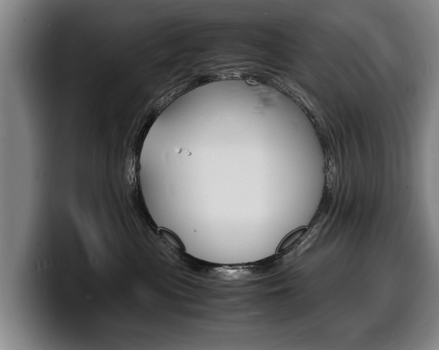 X0000100310477200806051332