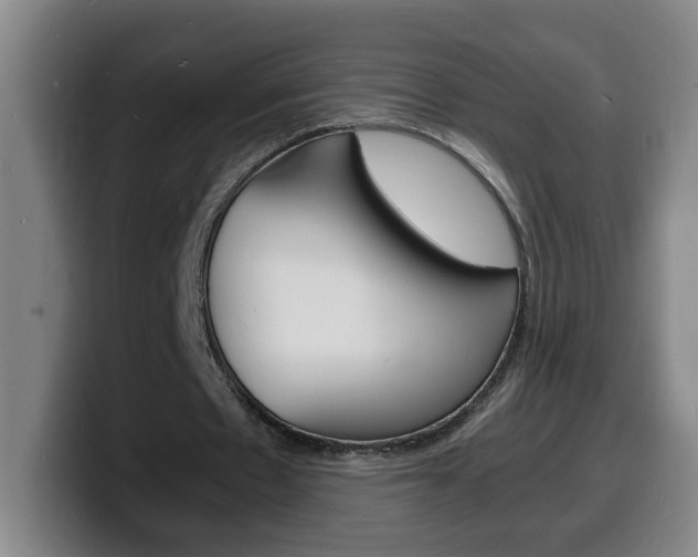 X0000100310481200806051332