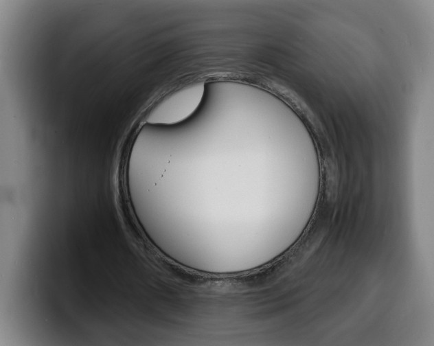 X0000100310482200806051332