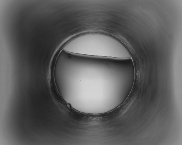 X0000100310484200806051332