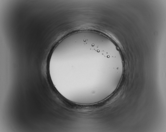 X0000100310485200806051332