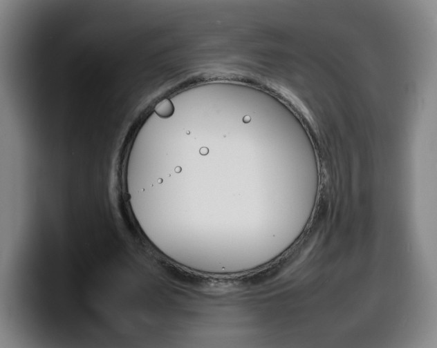 X0000100310487200806051332