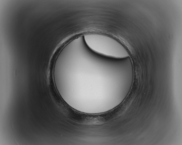 X0000100310488200806051332