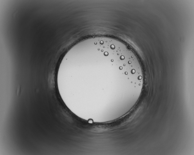 X0000100310489200806051332