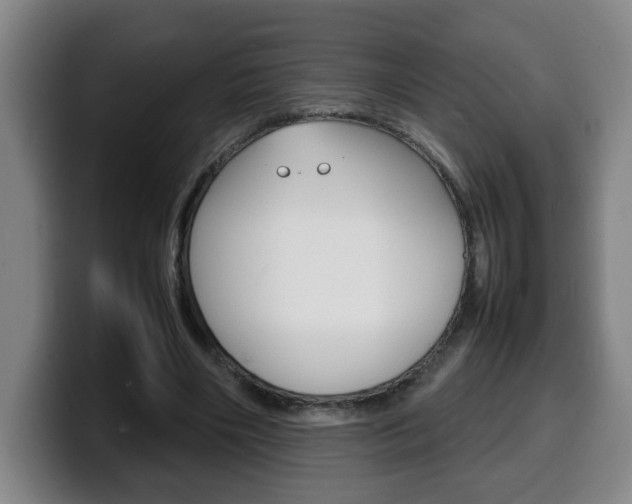 X0000100310490200806051332