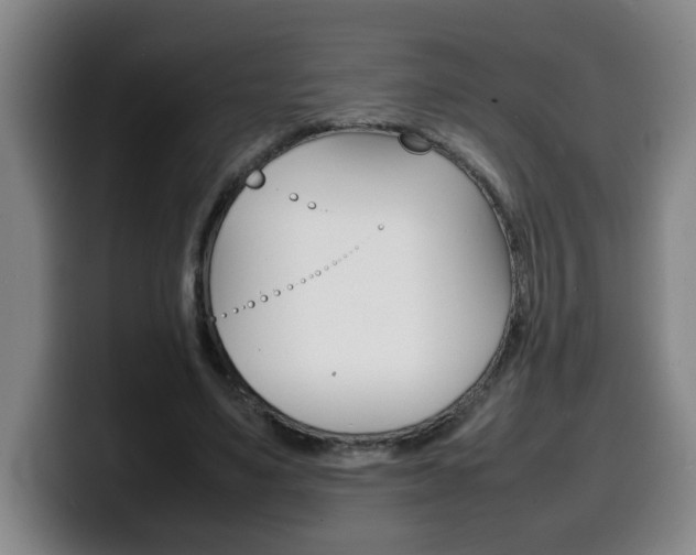 X0000100310491200806051332