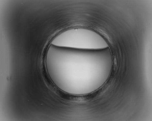 X0000100310492200806051332