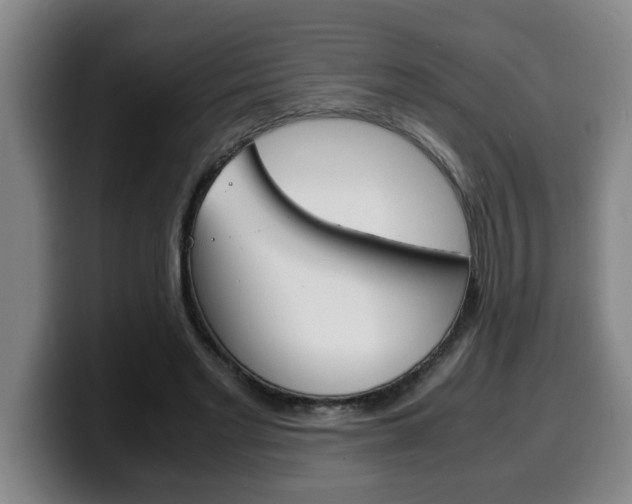 X0000100310493200806051332