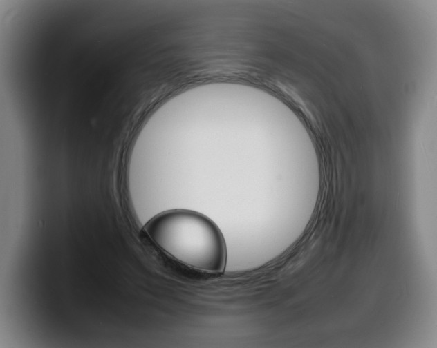 X0000100310495200806051332