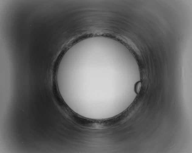 X0000100310496200806051332