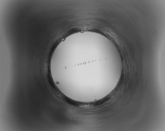 X0000100310499200806051332