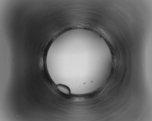 X0000100310500200806051332